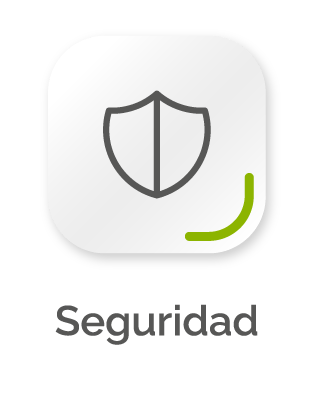 Seguridad gris