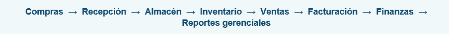 erp y wms